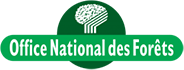 National Forestry Office